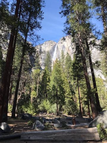 גרובלנד Breckenridge Chalet Near Yosemite. Dog Friendly! מראה חיצוני תמונה