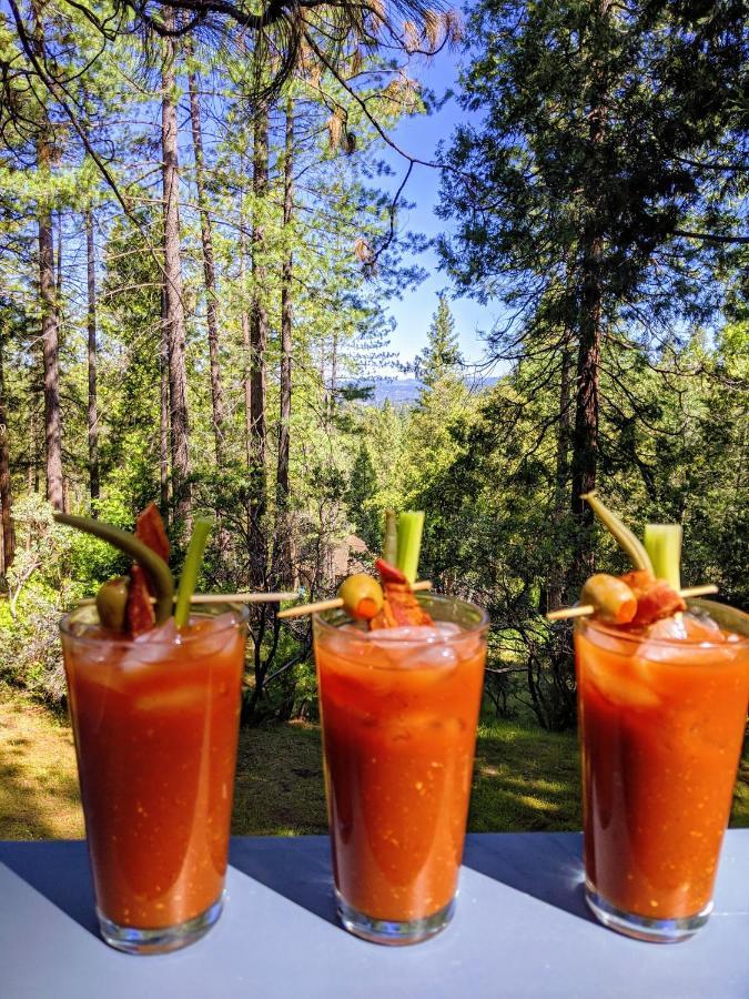 גרובלנד Breckenridge Chalet Near Yosemite. Dog Friendly! מראה חיצוני תמונה