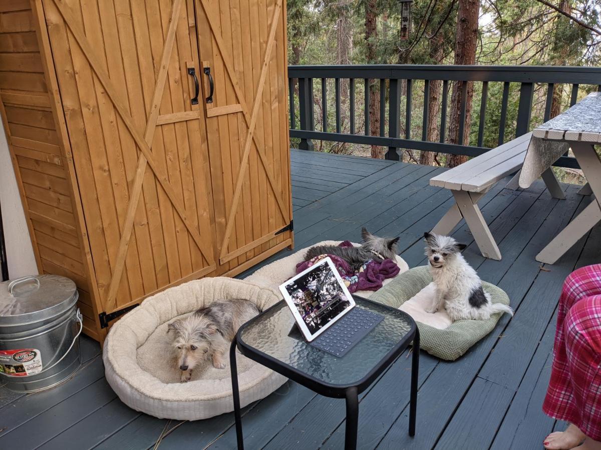 גרובלנד Breckenridge Chalet Near Yosemite. Dog Friendly! מראה חיצוני תמונה
