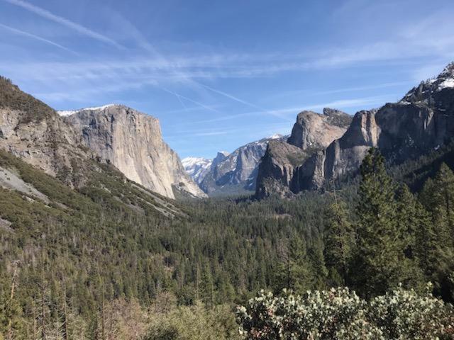 גרובלנד Breckenridge Chalet Near Yosemite. Dog Friendly! מראה חיצוני תמונה